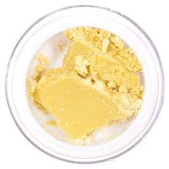 King's Garden | Jack (Live Budder)